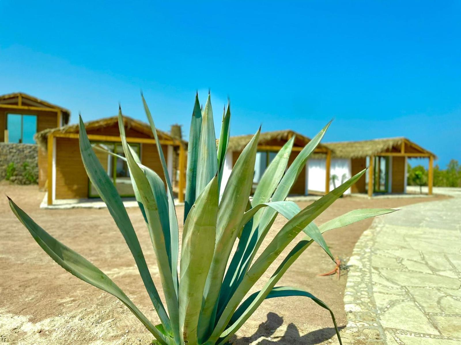 Ananda Beach Camp Nuweiba` Extérieur photo